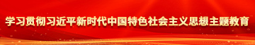 黑丝02年艹死我学习贯彻习近平新时代中国特色社会主义思想主题教育